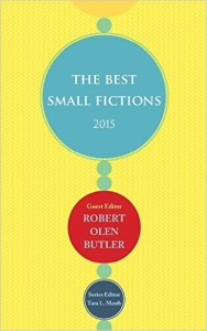 The Best Small Fictions
